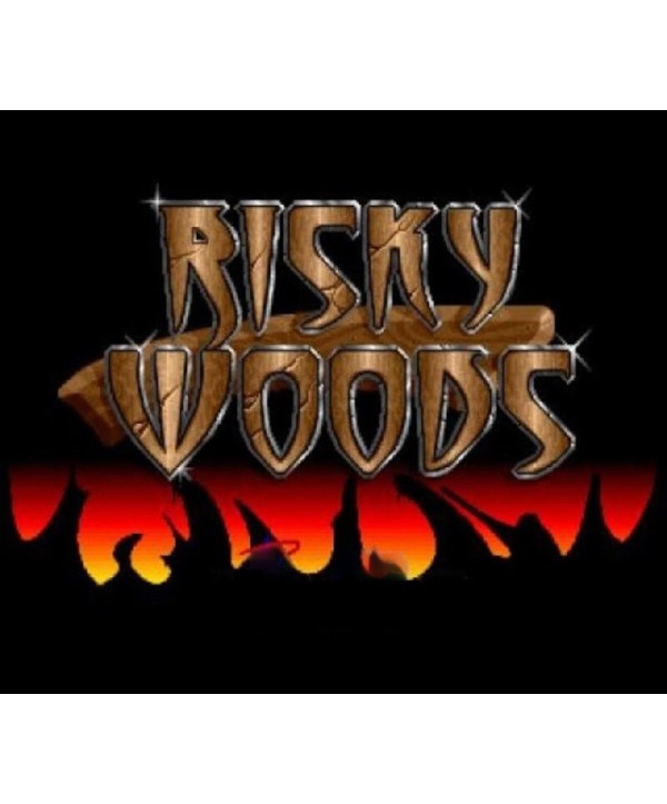 Risky Woods Steam Key GLOBAL